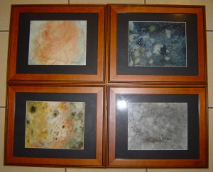 What the "Moons of Jupiter" watercolours look like framed