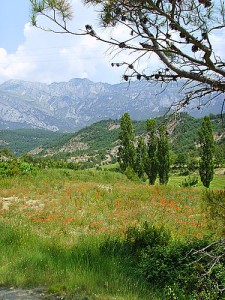 Scenery Near Arro, Ainsa, Spain