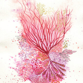 Pink Reef